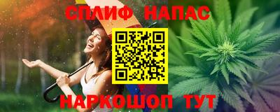 стаф Славгород