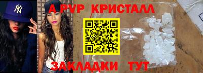 стаф Славгород