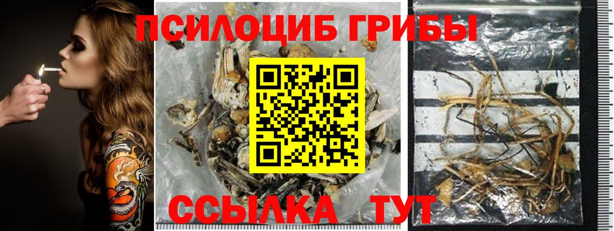 Галлюциногенные грибы Cubensis  Вход с VPN  Арсеньев  Галлюциногенные грибы Psilocybine cubensis 