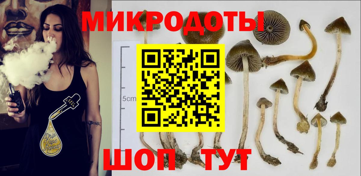 Псилоцибиновые грибы Psilocybine cubensis Арсеньев